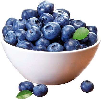 Heidelbeeren für Heidelbeer-Kaiserschmarrn mit Puderzucker