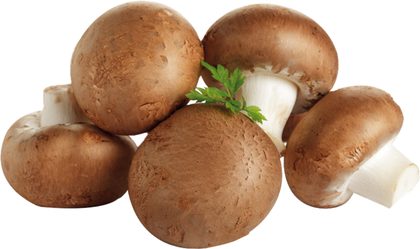 Champignons für Rahmschwammerl mit Semmelknödeln
